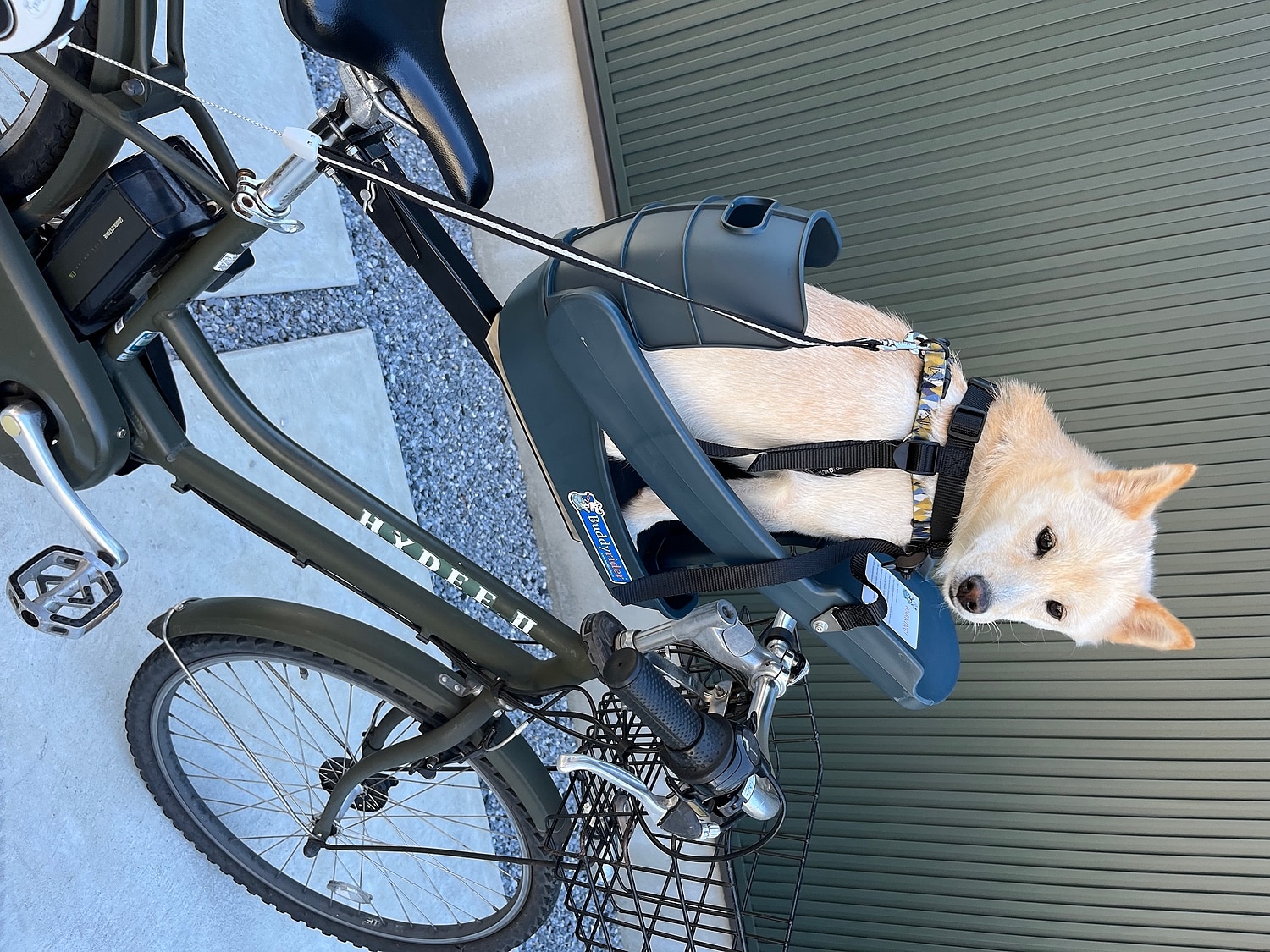 バディーライダー 犬 自転車 商品紹介／ワンちゃんと一緒に