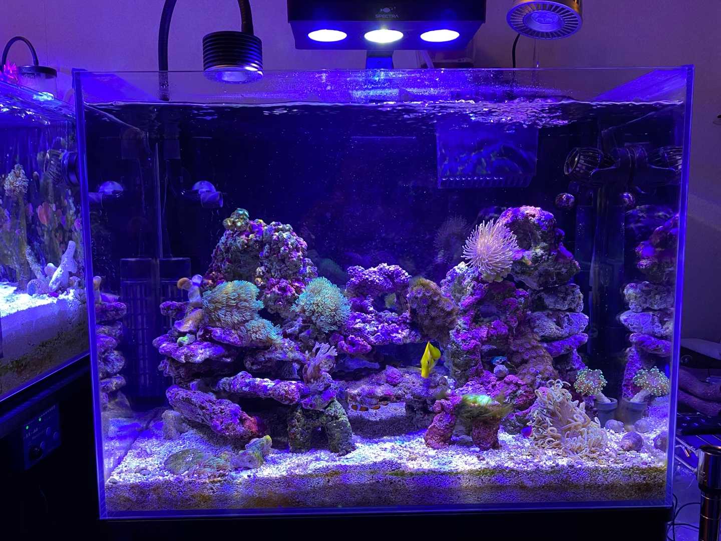 ボルクスジャパン グラッシーレディオ RX072e ディープ 海水用 LED