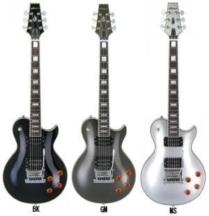 ケーラーブリッジ搭載！ARIA PE-DLX/K | 【大谷楽器】Guitar Shop