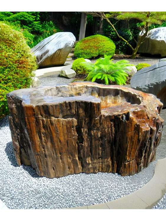木化石 蹲 049 手水鉢 水鉢 銘石 珪化木 幅170cm 希少 庭石 景石 販売
