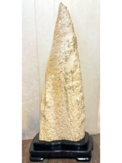 鍾乳石(石柱)65cm16.2kg
