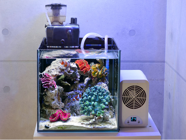 ゼンスイ TEGARU2 テガル2 アクアテイラーズ オンラインショップ