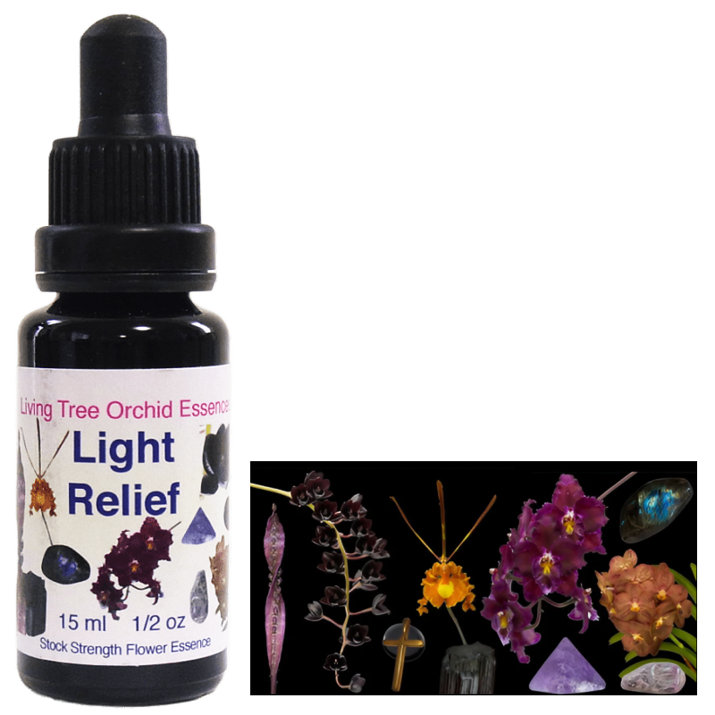 HR.GIGER スクリーンセ－バ－＆ ラベル ワイン ➕リ－フレット HR