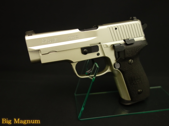 タナカ】P228 Evo2 ウォームシルバーコーティング ALL HW モデルガン