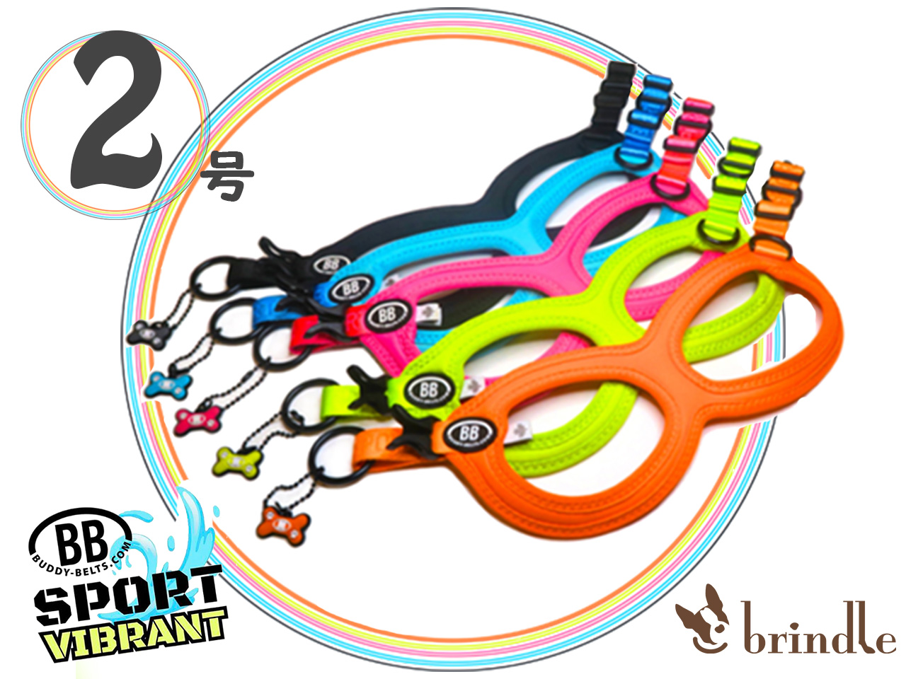 BB SPORT (BBスポーツ) 2号サイズ BUDDY BELTS バディーベルト バディ