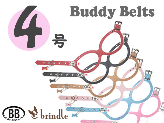 バディベルト BB バハマ 4号 アクセントリード BBアクセントレザー