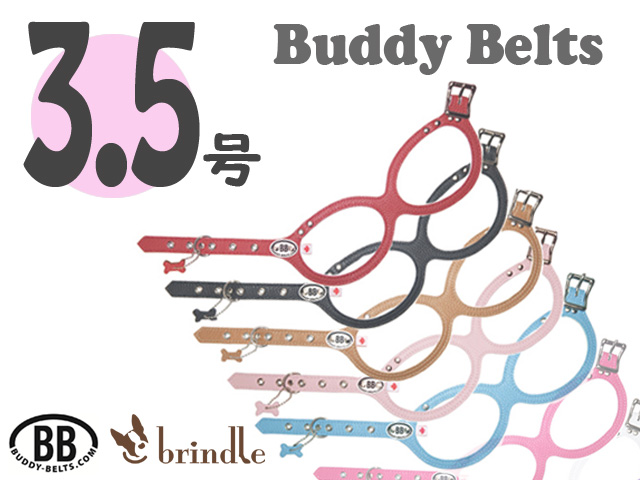 BUDDY BELT エナメルレッド 限定 3.5 ハーネス＋リードSセット BUDDY