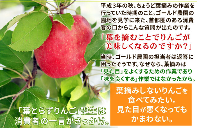 りんご の常識を変える☆葉とらず栽培 本場青森ゴールド農園 送料無料