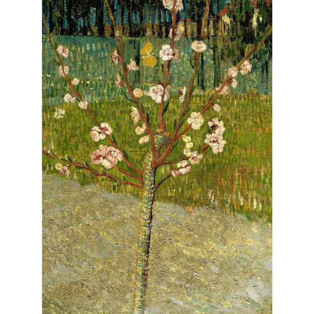 ☆秀作☆ 手書き油絵 ゴッホ 花咲くアーモンドの花 額付 絵画 油彩画