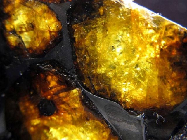 セリコ隕石 パラサイト隕石 原石 スライスプレート 最大幅約28.3mm 約