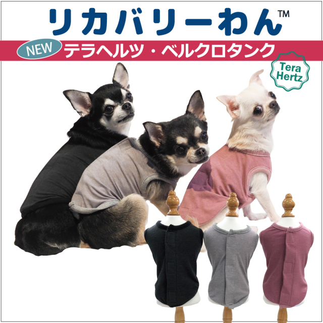 クークチュールウェア全商品 犬の服＆介護グッズのクークチュール