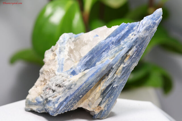 カイヤナイトの原石(A458)