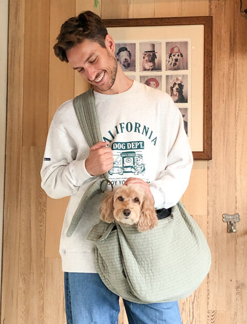 犬用キャリーバッグ・キャリーバッグ・カート・スリングの商品一覧