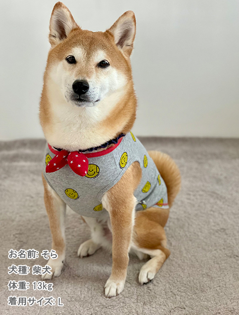 犬服 3S わんこの普段着ベリーベリーラズベリー