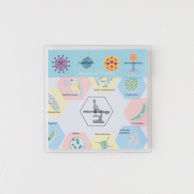 物語シリーズ クリアファイル 台本風ノート ミニ色紙 付箋 13個セット