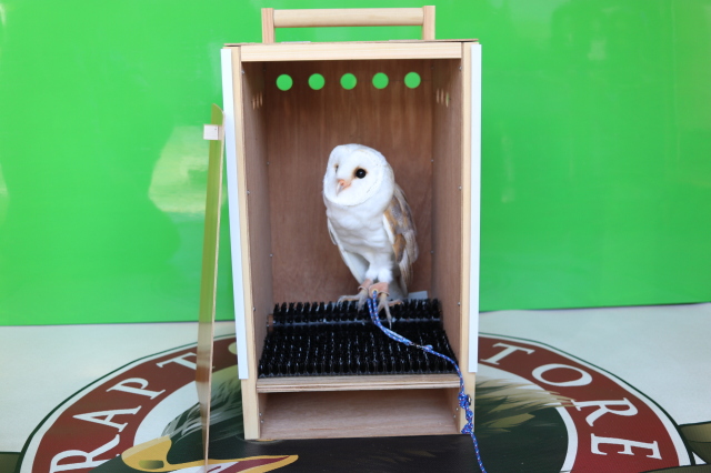 猛禽類 移動用ケージ 【公式通販】