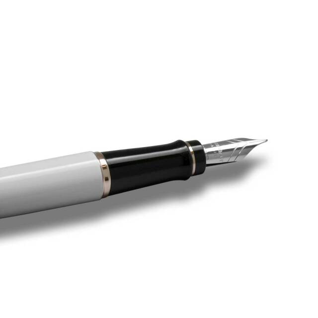 ウォーターマン（WATERMAN） 万年筆EXPERT Essential エキスパート