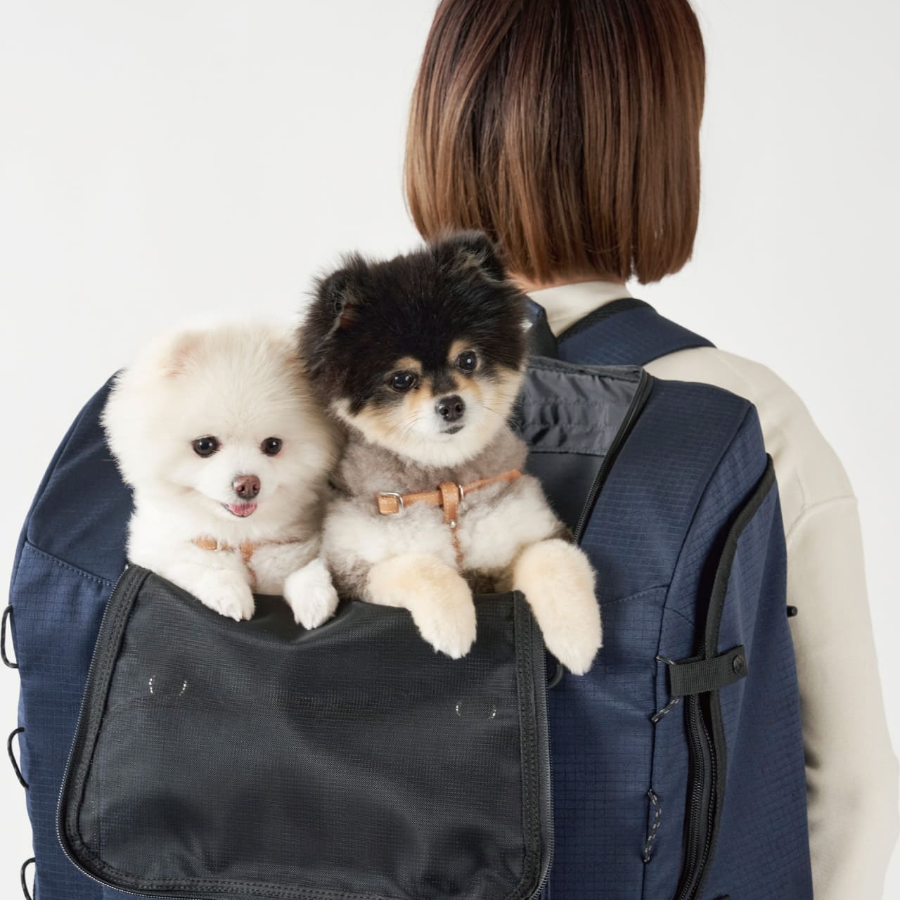 AIRBUGGY 3WAY犬リュック エアバギー スリーウェイ バックパック