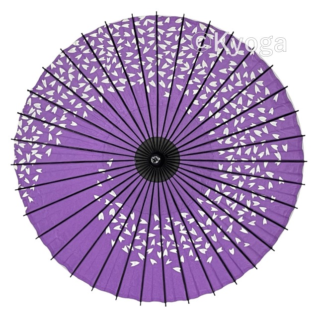 aa0039_1.jpg?t=20240720181240