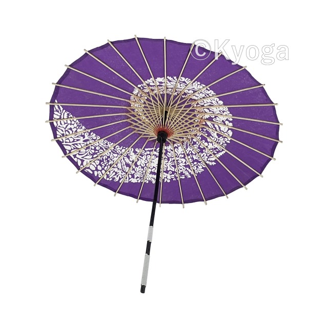 バカラカモシカです バカラカモシカです バカラカモシカです