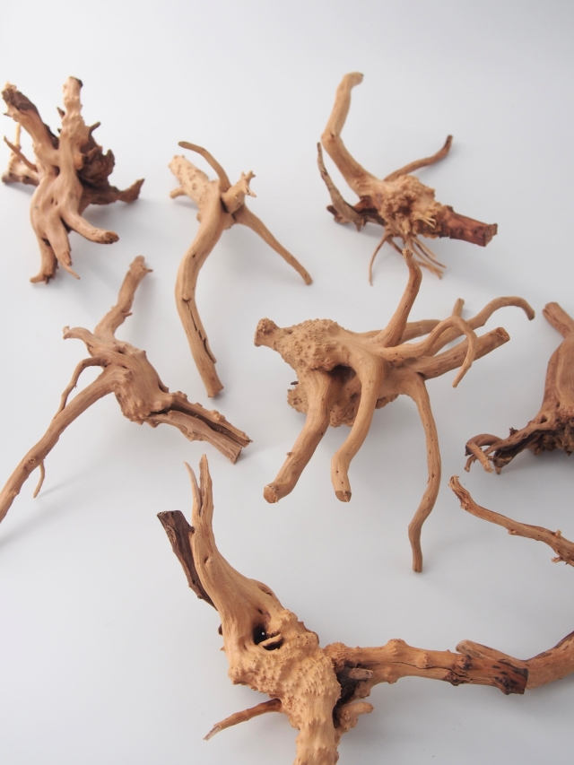 天然流木￥5,500 GEX 天然流木 S | 水中生物用品・水槽用品 通販 |