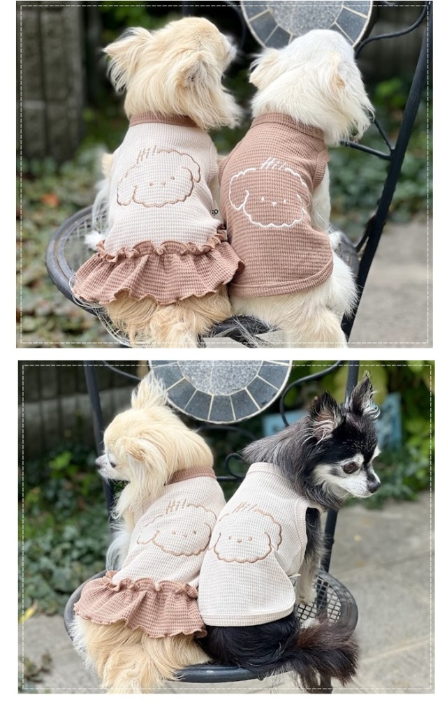 可愛い小型犬の洋服通販 鎌倉ドッグ ドギーサーマルニット