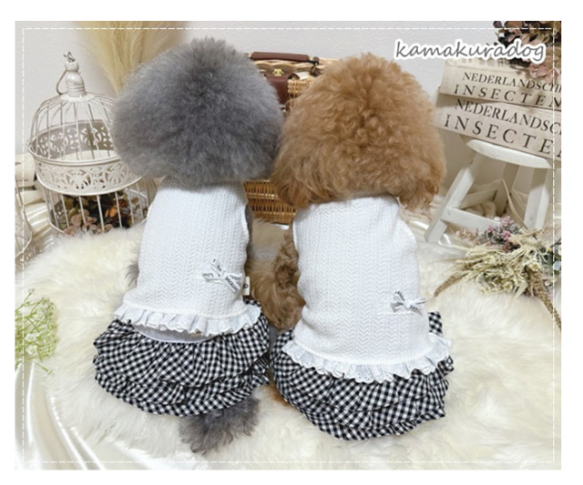 可愛い小型犬の洋服通販 鎌倉ドッグ ビビッドハートのワンピース