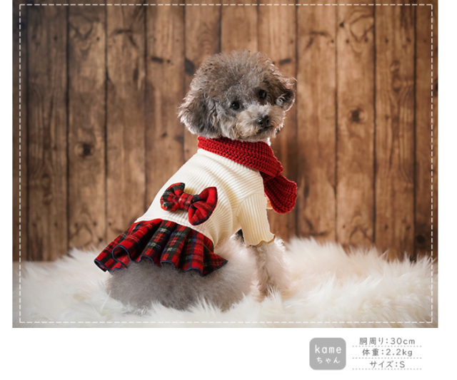 w529c.jpg?t=20241219114345