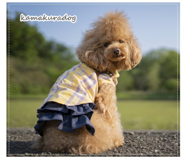 可愛い小型犬の洋服通販 鎌倉ドッグ デニム風サロペット＆スカート