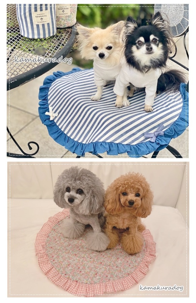 可愛い小型犬の洋服通販 鎌倉ドッグ おそろいカフェマット