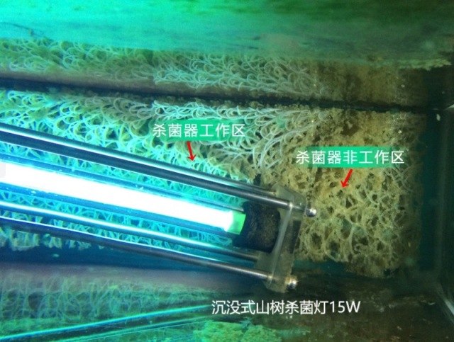 消費税込・送料無料】山樹 水中UV滅菌ランプ 15W