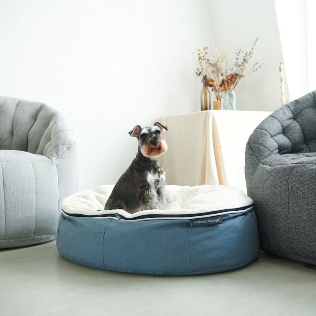 ambient lounge S ハイ ペットラウンジ