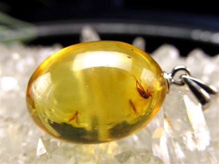 アンバー 琥珀 昆虫 コレクション 天然石 虫入り 価値上がる 宝石