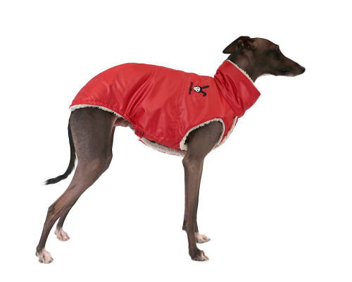 イタリアングレーハウンド専用サイズ 犬用防寒 インサレートスーツ