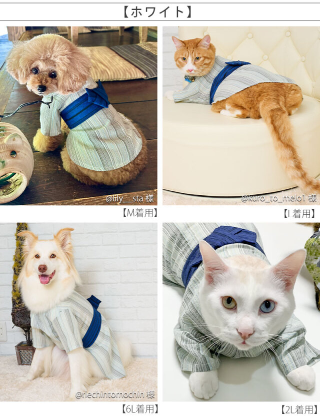 犬服 ワンピース(M) ꒡̈⃝Lily꒡̈⃝ハンドメイド CHOCO 様専用