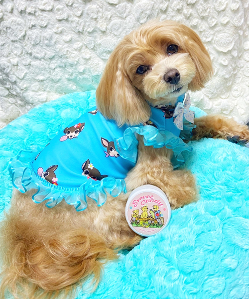 BABYMONSTER ベビモン Hello ソウルコン パンツ ブルー フリー