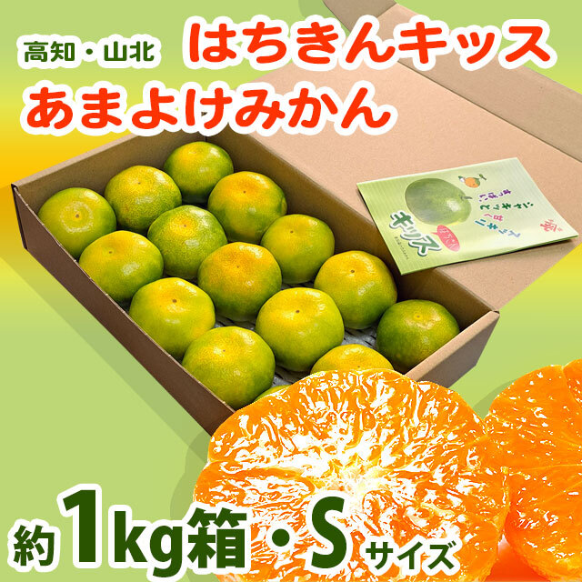 みかんさま用 みかんさま用 みかん様 ミカン様 蜜柑様 レビュー】ZX