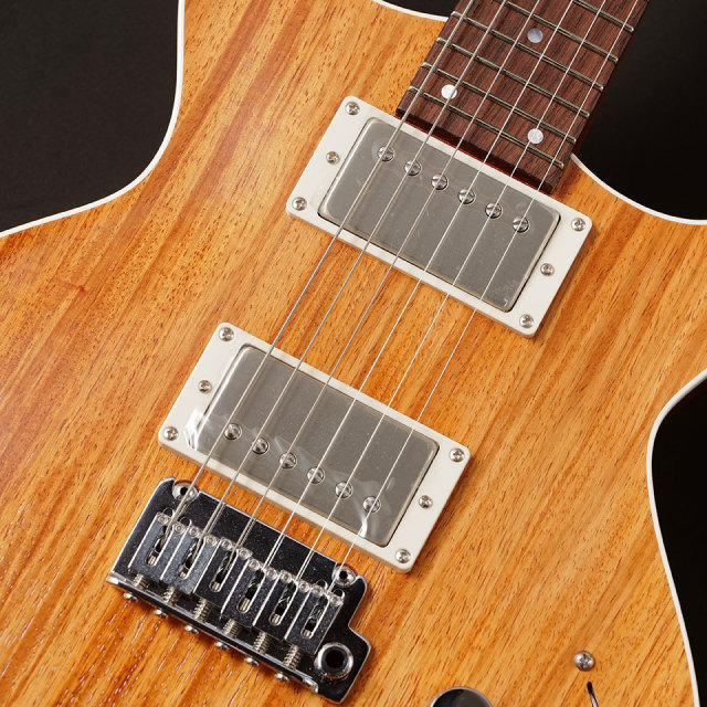 Kz Guitar Works/Kz One Solid Carved Top 24F 2H5 Synchr【在庫あり】