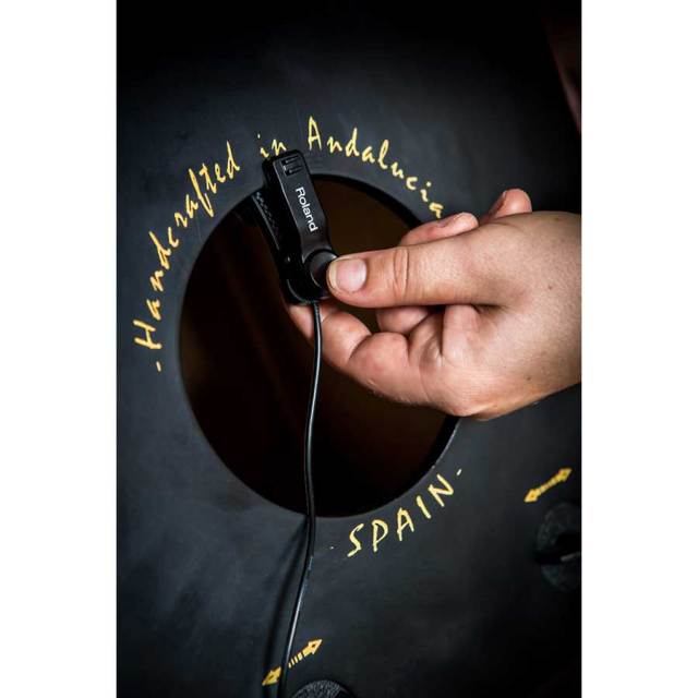 Roland/EC-10M ELCajon Mic Processor