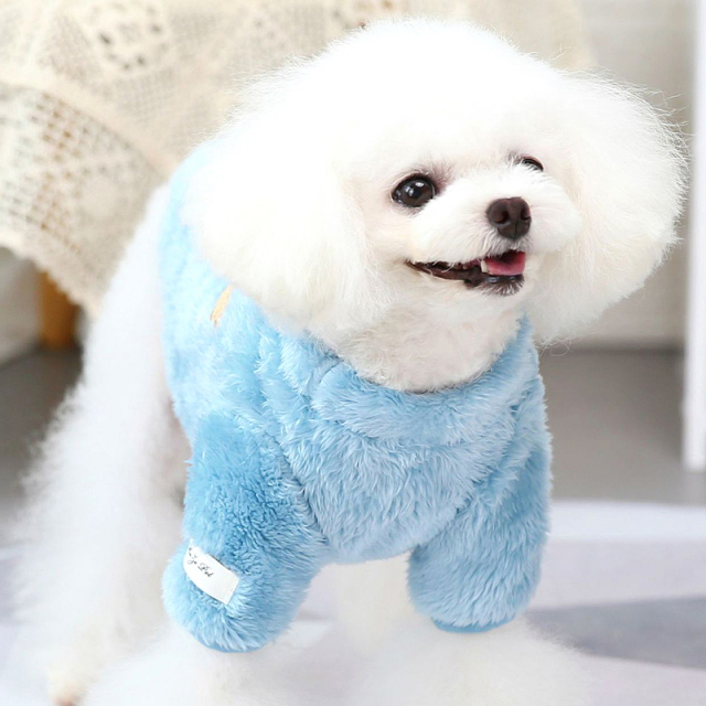 くまのワンポイントワッペンボア【犬服専門店タムベディ】