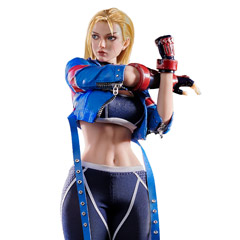 星漫 STAR MAN】MS-012 1/6 Female Agent-Blue Bee エージェントレディ 1/6