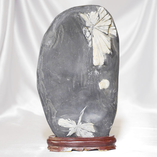 菊花石 No.234 【鑑賞用鉱石】高さ:約28cm 幅:約15cm 重さ:約3.5kg