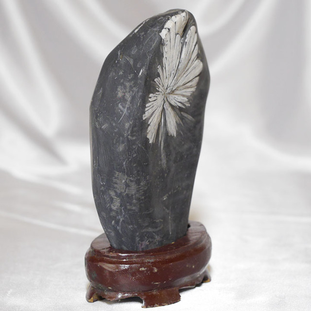 菊花石 No.264 【鑑賞用鉱石】高さ:約17cm 幅:約13cm 重さ:約2.2kg