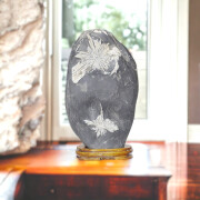 最高峰級に美しい天然鑑賞石『菊花石』販売ページです。健康と