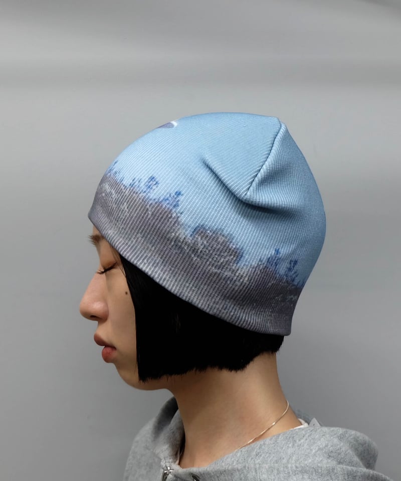 Labyrins Picture Beanie 3 | Shury