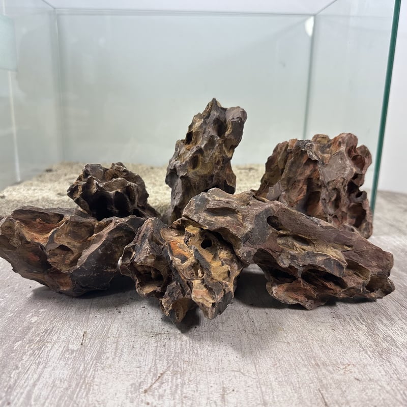 気孔石 10-15cm 15kg ks-10-15-15k Amazon | 気孔石 黄虎石 蜂