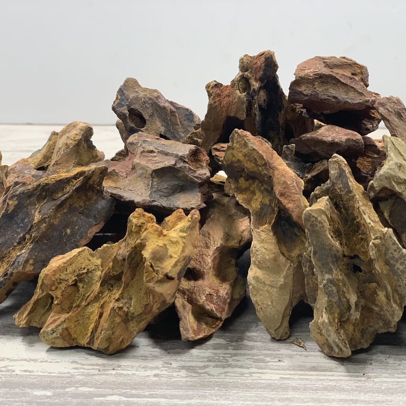 気孔石SS 10㎏セット（kgあたり530円） | 流木専門店のアクアリバー