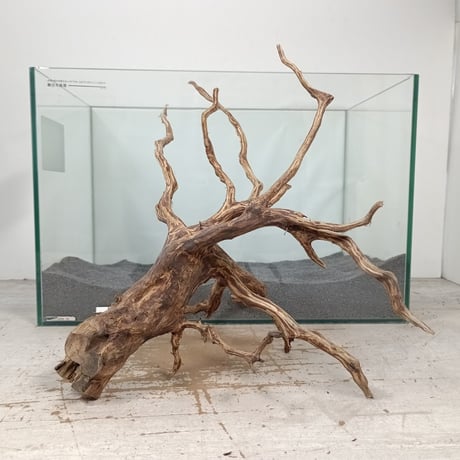 XM-460 流木 マシンガンウッド アクアリウム ブランチウッド 沈水確認