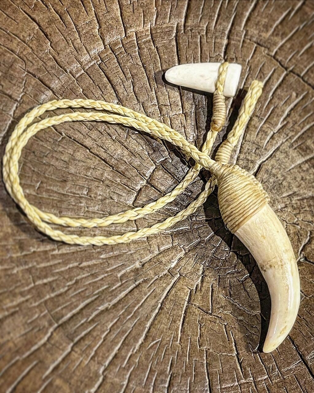 鯨歯 マッコウクジラの歯 マッコウクジラ歯hook | Kz'bone