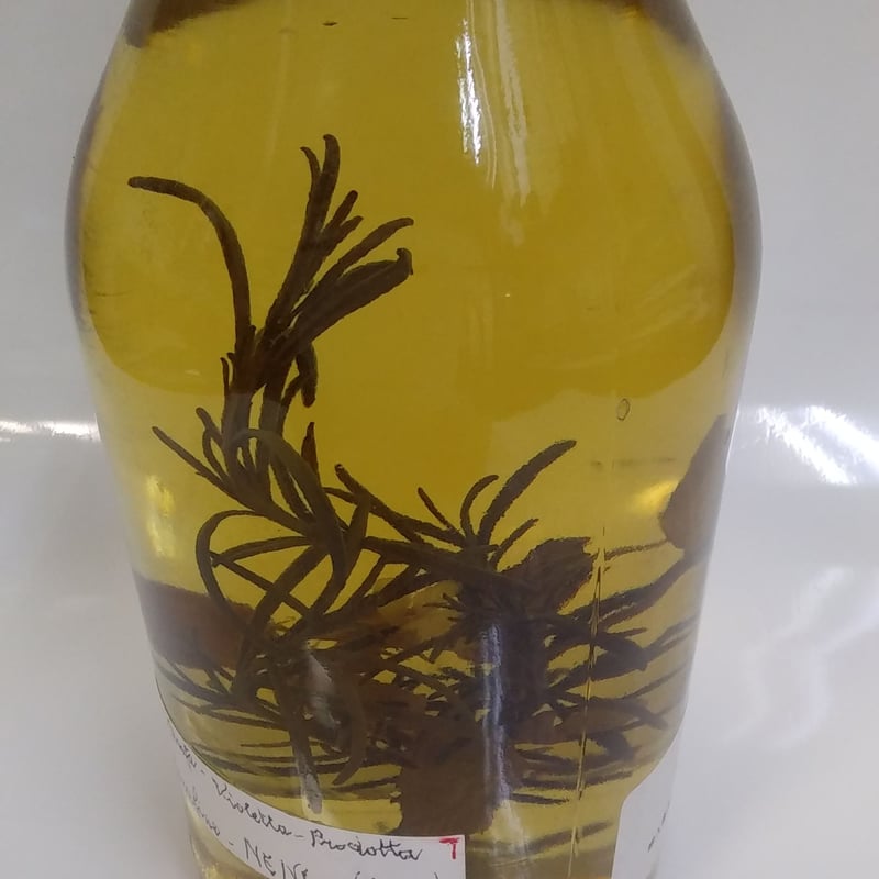 天使のグラッパ ロマーノ・レーヴィ（ローズマリーとミントと小さな